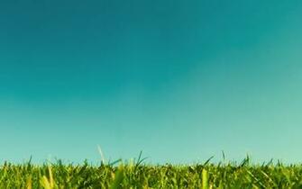 Grass And Sky Background Wallpaper