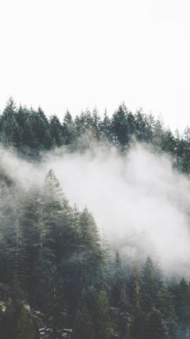 Adventurous Forest Mountain iPhone Wallpaper Preppy