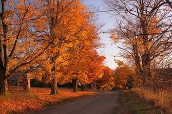 Fall Wallpaper Autumn Photos Pictures
