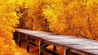 8k Ultra HD Nature Wallpaper Top