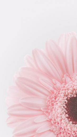 Best Ideas About Floral Phone Wallpaper For Women And Girls