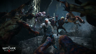 The Witcher Wild Hunt Computer Wallpaper Desktop Background