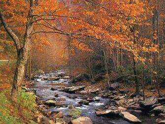 Enjoy These Photos Courtesy Of Thanksgiving Wallpaper And Dream