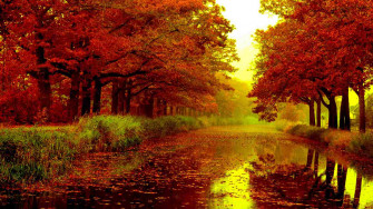 Best Autumn Wallpaper