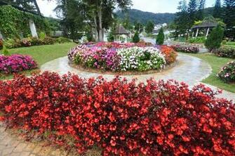 English Garden Wallpaper