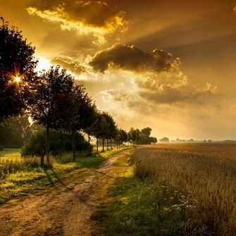 Autumn Landscape With Trees iPad Wallpaper iPhone