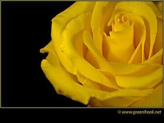The Yellow Wallpaper Symbolism Right Click On Image And
