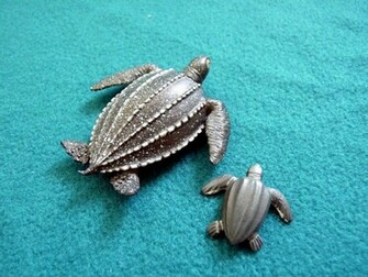 Cute Baby Turtle Wallpaper In HD