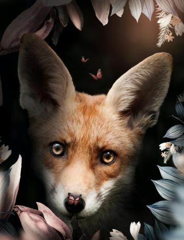Fleur De Lys Foundation