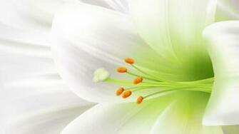 Full HD Wallpaper Size 1080p Widescreen