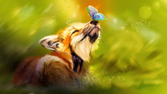 Cute Fox Wallpaper