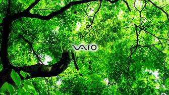 Sony Vaio HD Wallscreen
