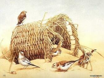 Backyard Birds Beautiful Paintings Small Bird Illustration