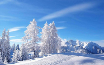 Winter Wonderland Background Wallpaper