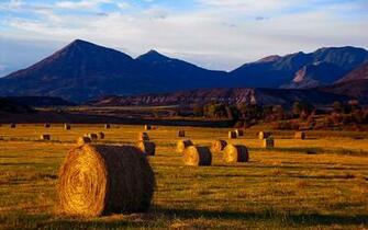 Hay Bales In Field Hq Wallpaper