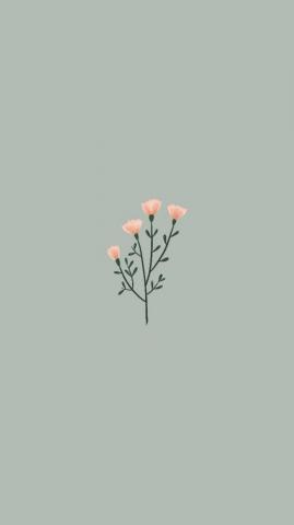Meris Lacinski On Random Simple iPhone Wallpaper Cute