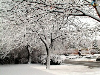 Winter Wallpaper Desktop Themes And Screensavers Mountains Rivers