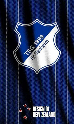 Tsg Hoffenheim Of Germany Wallpaper Football