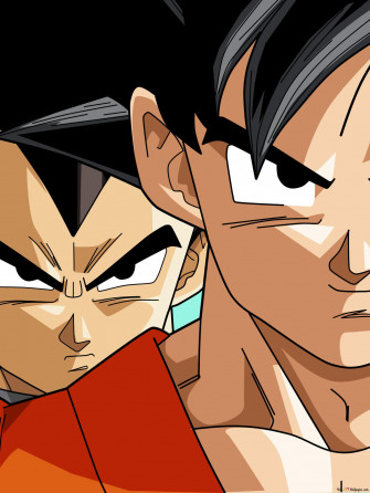 Dragon Ball Z Wallpaper