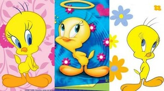 Tweety Graphics Code Comments Pictures