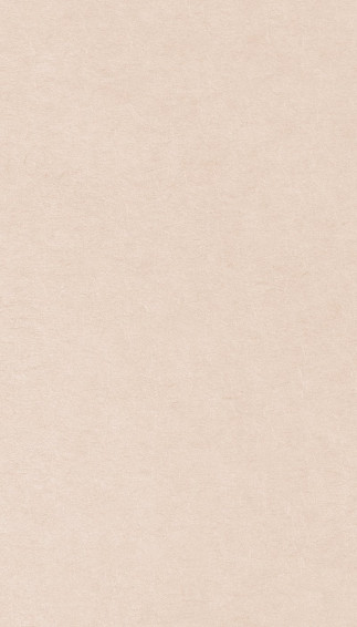Aesthetic Plain Background Image Wallpaper
