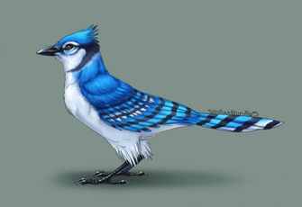 Blue Jay By Soulwithin465