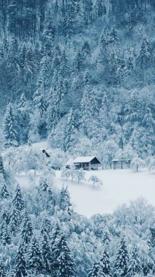 Snow Aesthetic Wallpaper