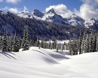 Snow Scene Wallpaper