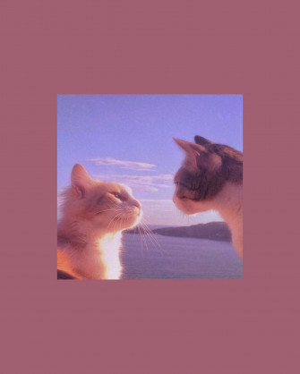 Cute Cat Aesthetic Wallpaper