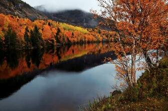 Image Canada Humber Newfoundland And Labrador Nature Autumn Water