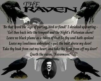 The Raven Wallpaper For Is A