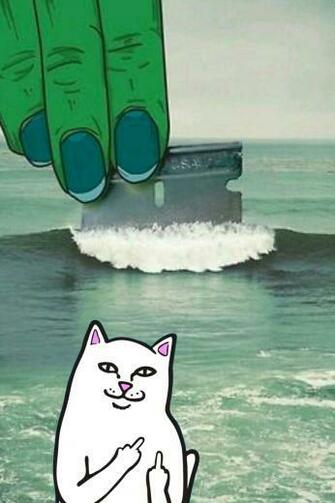 Ripndip iPhone Wallpaper Middle Finger Cat