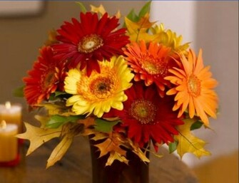 Autumn Flowers Wallpaper