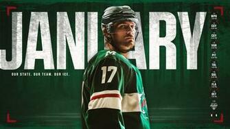 Desktop Mobile Wallpaper Minnesota Wild