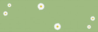 Blooming Inspiration Wallpaper