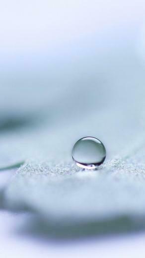 Water Drop