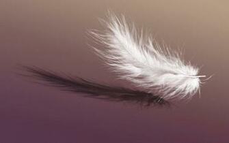Falling Feather Pics I Like Wallpaper Cool