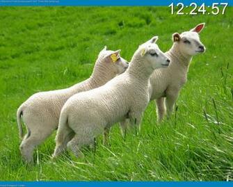 Previous Version Of Random Photo Screensaver Windows Xp