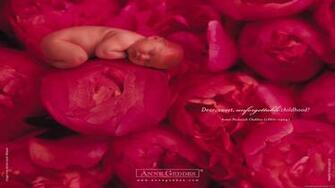 Anne Geddes Wallpaper HD Photography Desktop Background