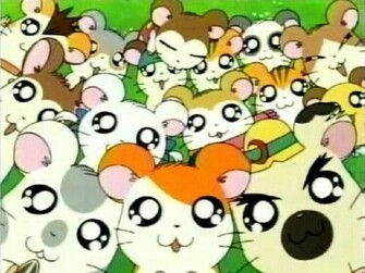 Chucksanimeshrine Hamtaro Pictures