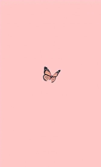 Aesthetic Plain Wallpaper