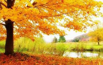 Wallpaper Autumn Scenery Desktop