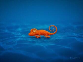 Gecko By Vladstudio