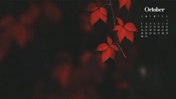 October Calendar Wallpaper Best Desktop Phone Background