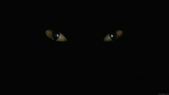 Dark Wallpaper Full HD Desktop