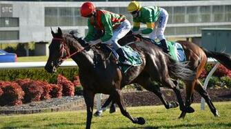 Horse Racing Wallpaper HD Early