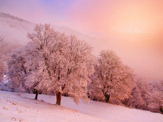 Warm Snowy Landscape Wallpaper