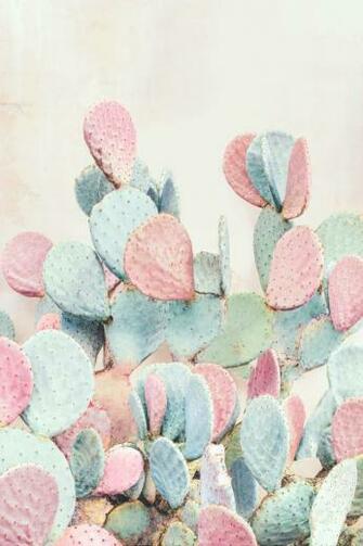 Nicholas Scarpinato Nature Enhanced Color Wallpaper