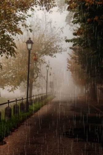 4k Rain Wallpaper