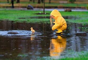 Wallpaper Spring Girl Duck Raincoat Rain Puddle